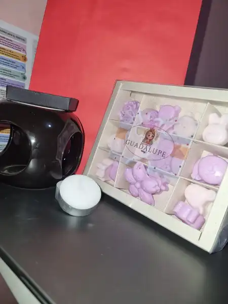 Wax Melts Guadalupe