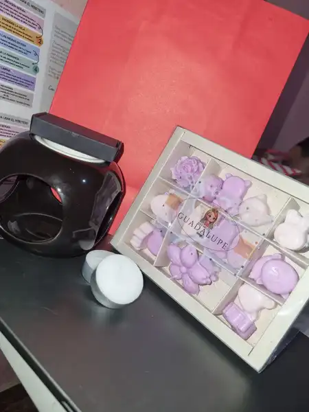 Wax Melts Guadalupe